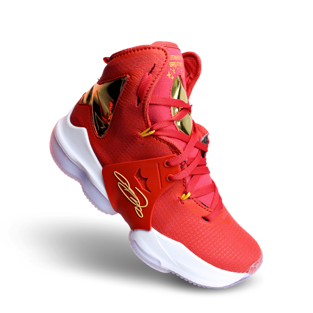 lebron  19